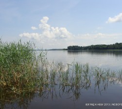 DSC06920