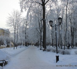 IMG_0736