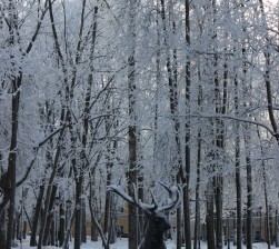 IMG_0741