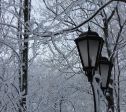 IMG_0752